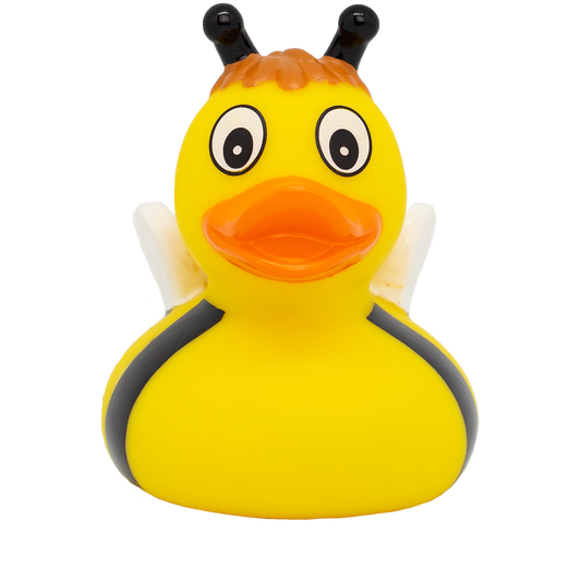 Buzzy Bee Duck