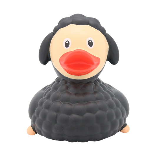 Sheep Duck (Black)