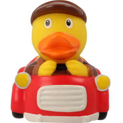 Driver Man Duck