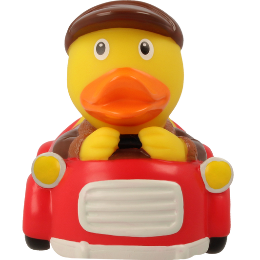 Driver Man Duck