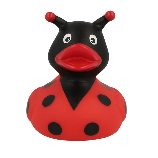 Ladybug Duck